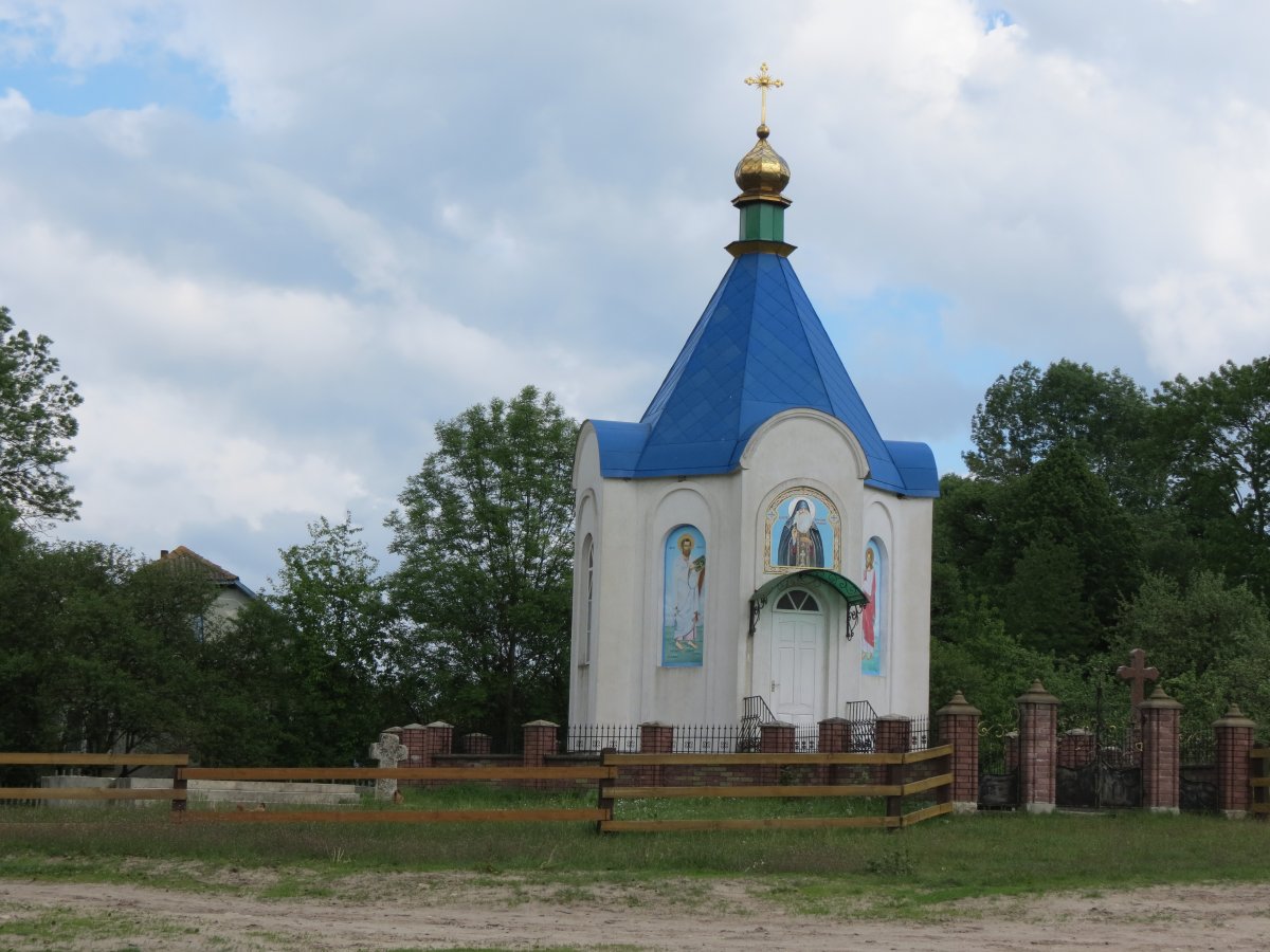 IMG_2669.jpg