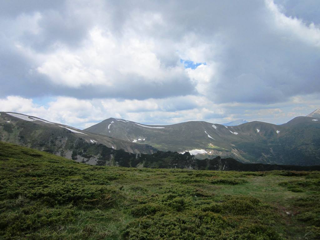 IMG_2700.JPG