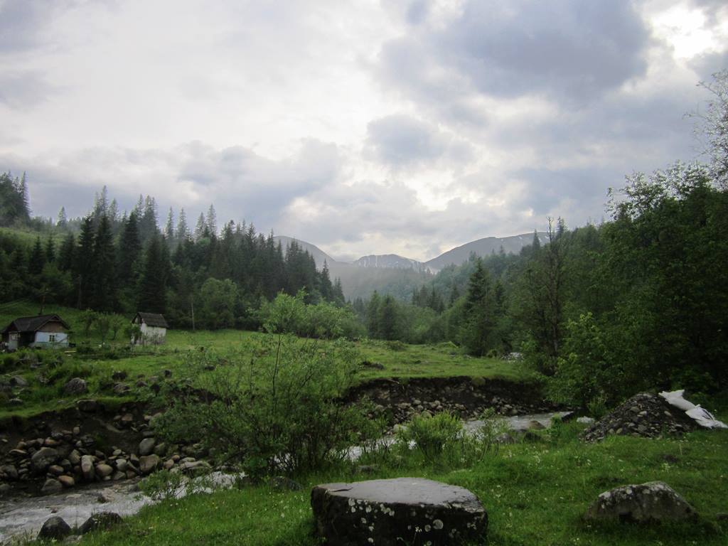 IMG_2774.JPG