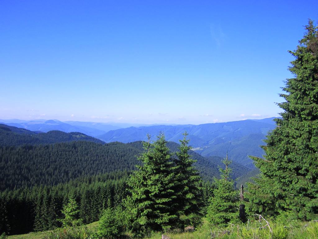 IMG_3022.JPG