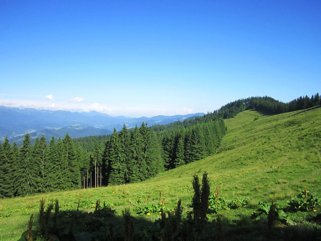 IMG_3039.JPG