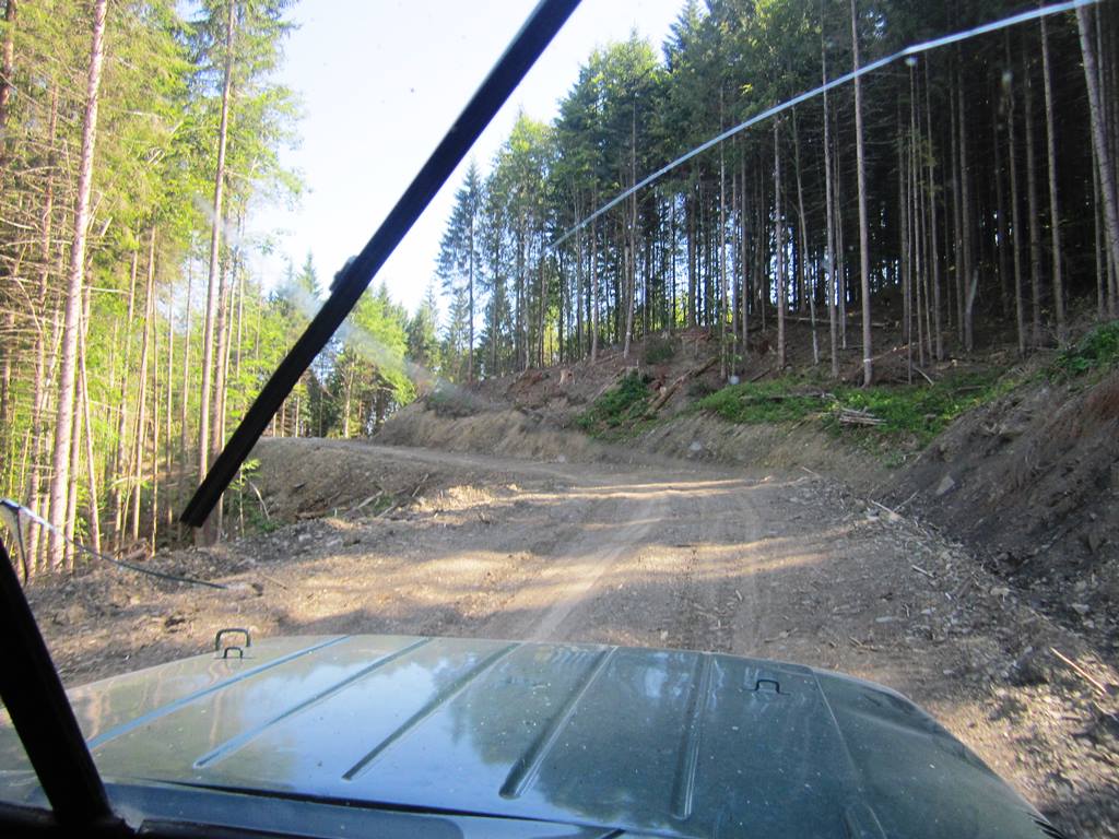 IMG_3133.JPG