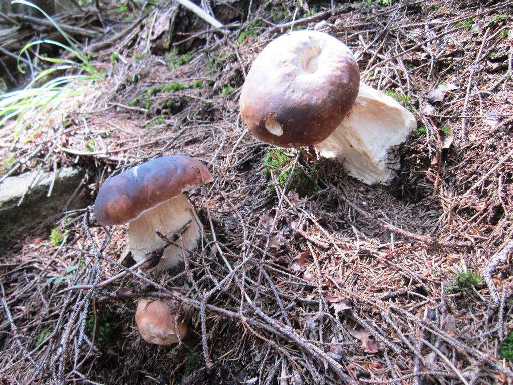 IMG_3441.JPG