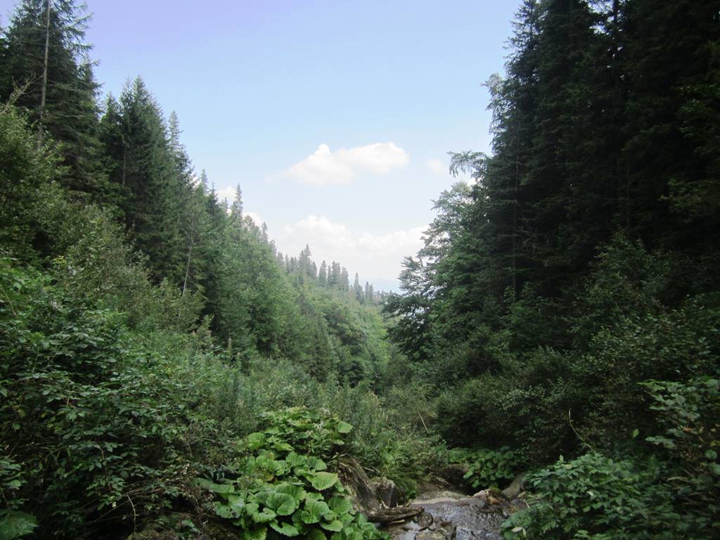 IMG_3450.JPG
