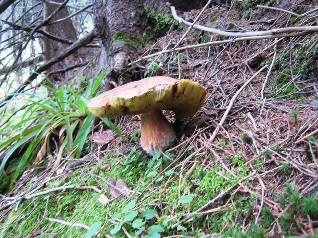 IMG_3453.JPG