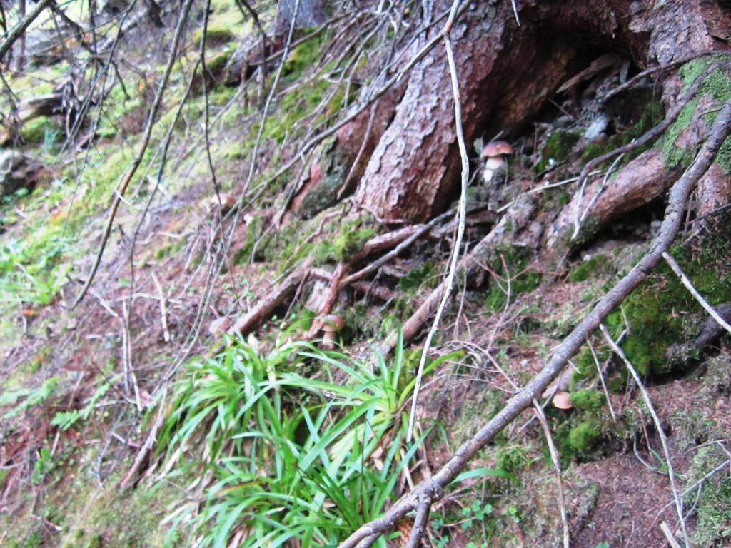 IMG_3455.JPG