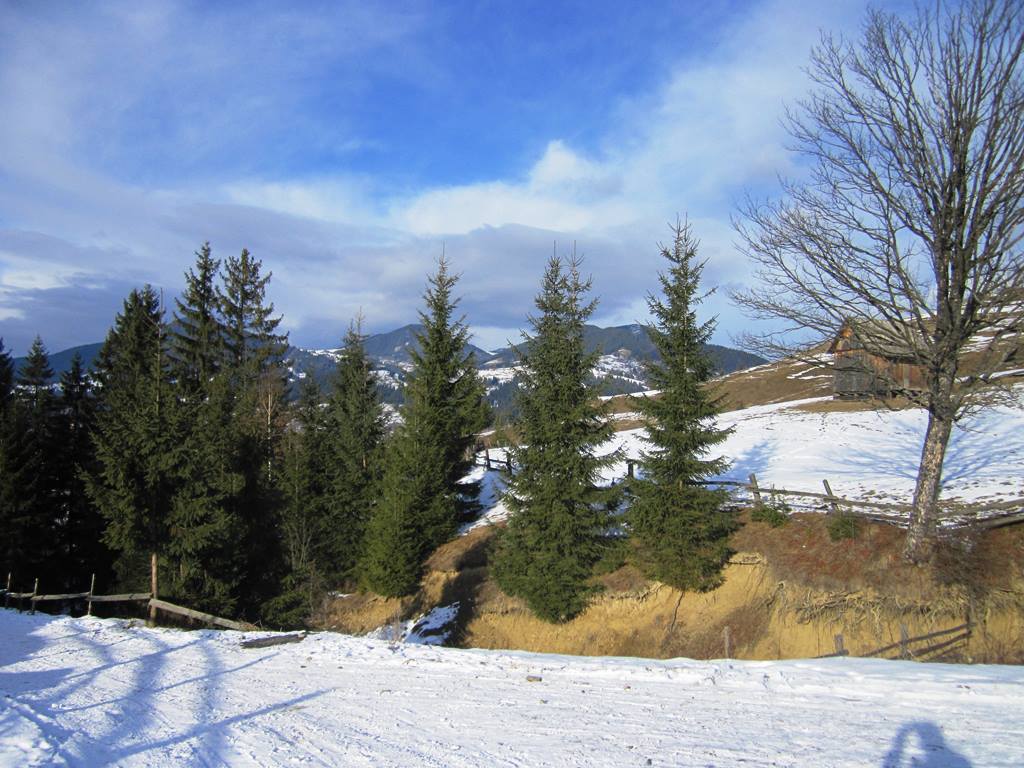 IMG_3879.JPG