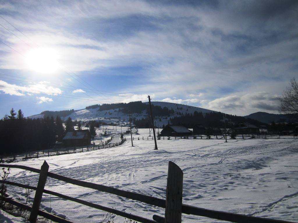 IMG_3880.JPG