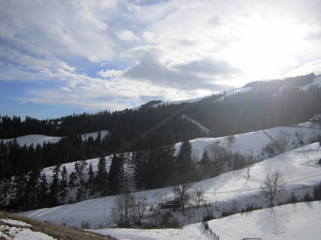 IMG_3887.JPG