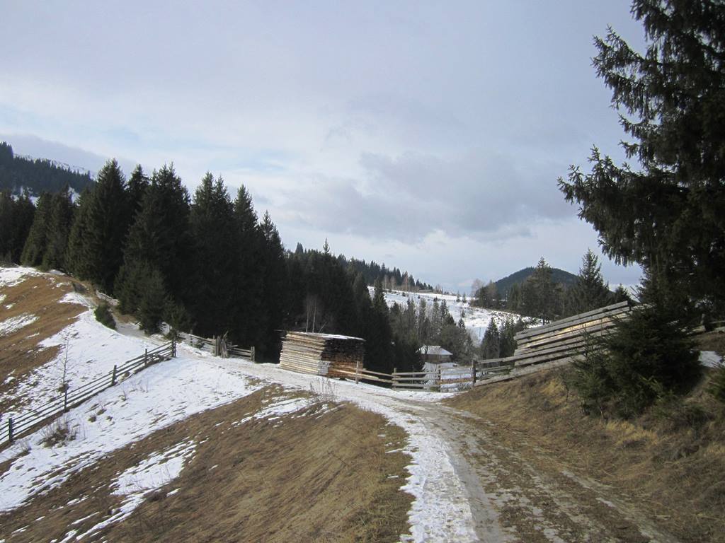 IMG_3889.JPG