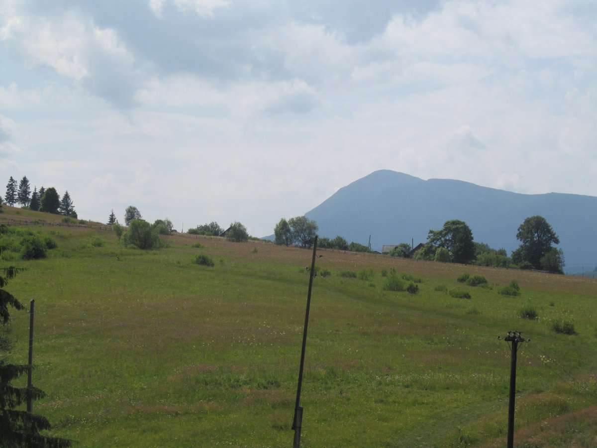 IMG_3907.JPG