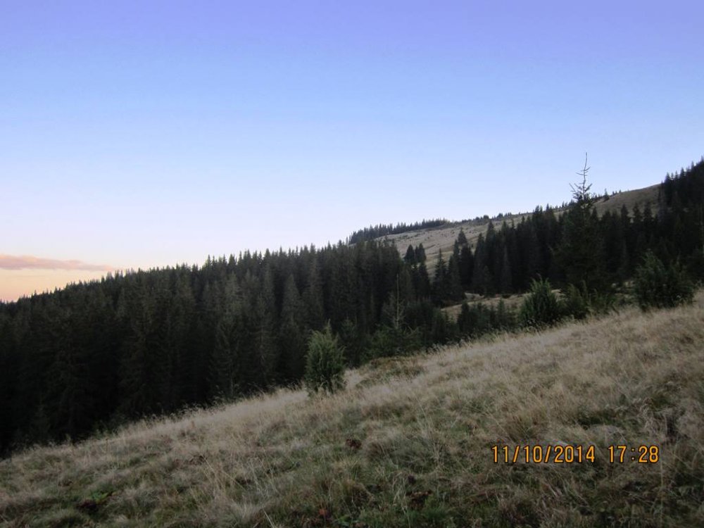 IMG_3957.JPG