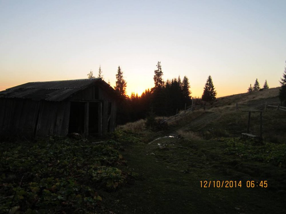 IMG_4025.JPG
