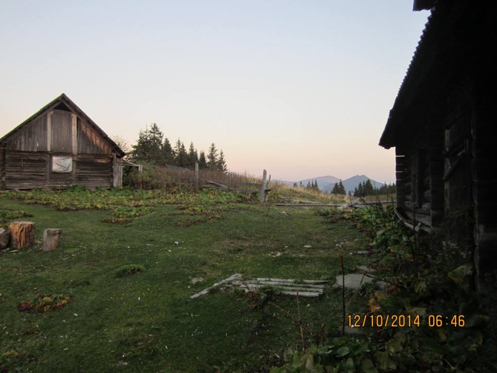 IMG_4026.JPG