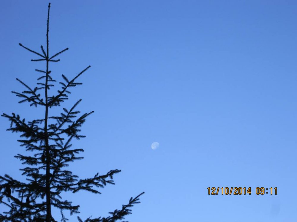 IMG_4056.JPG