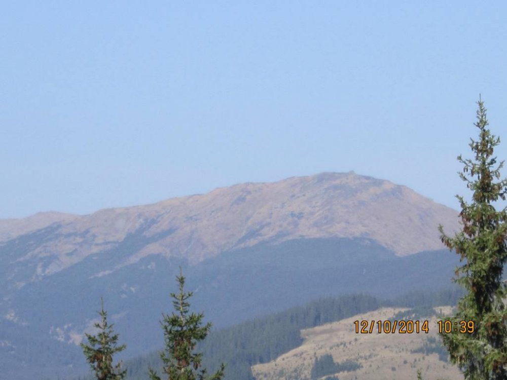 IMG_4071.JPG