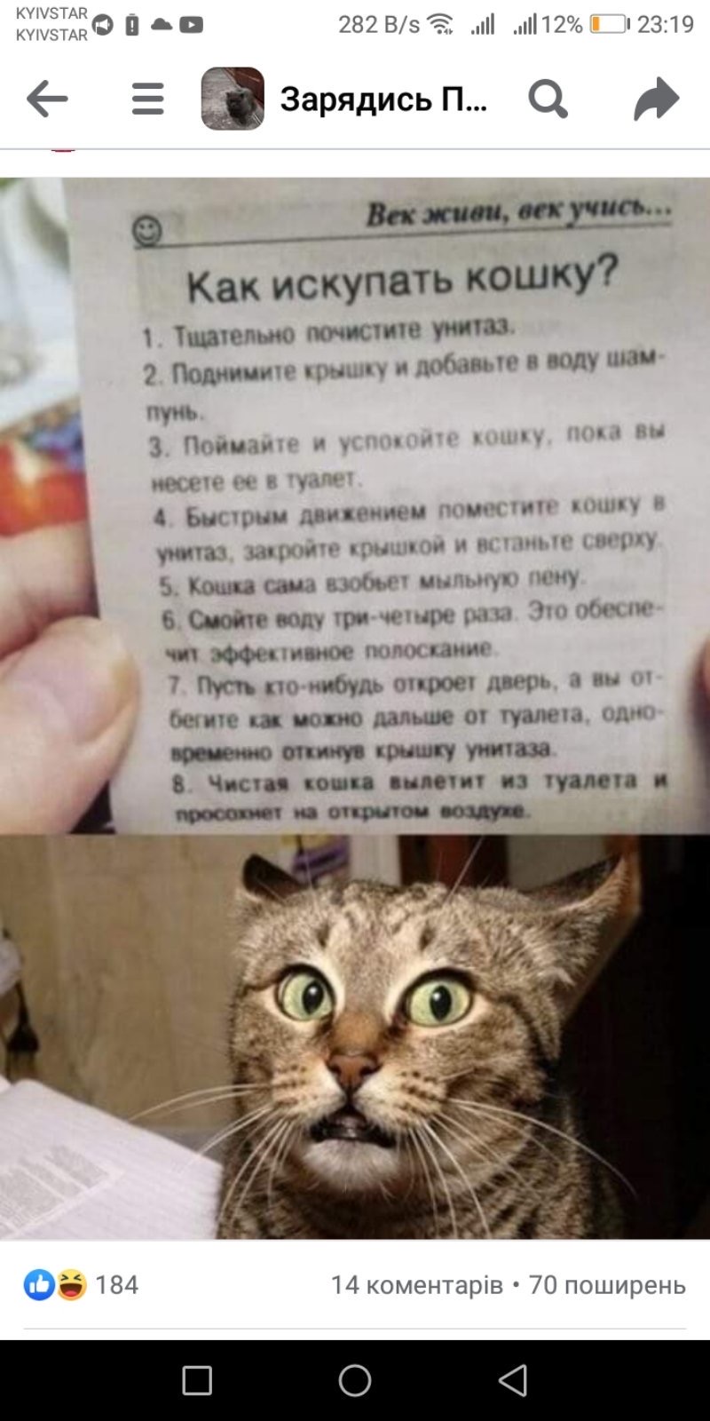 IMG_4172.jpeg