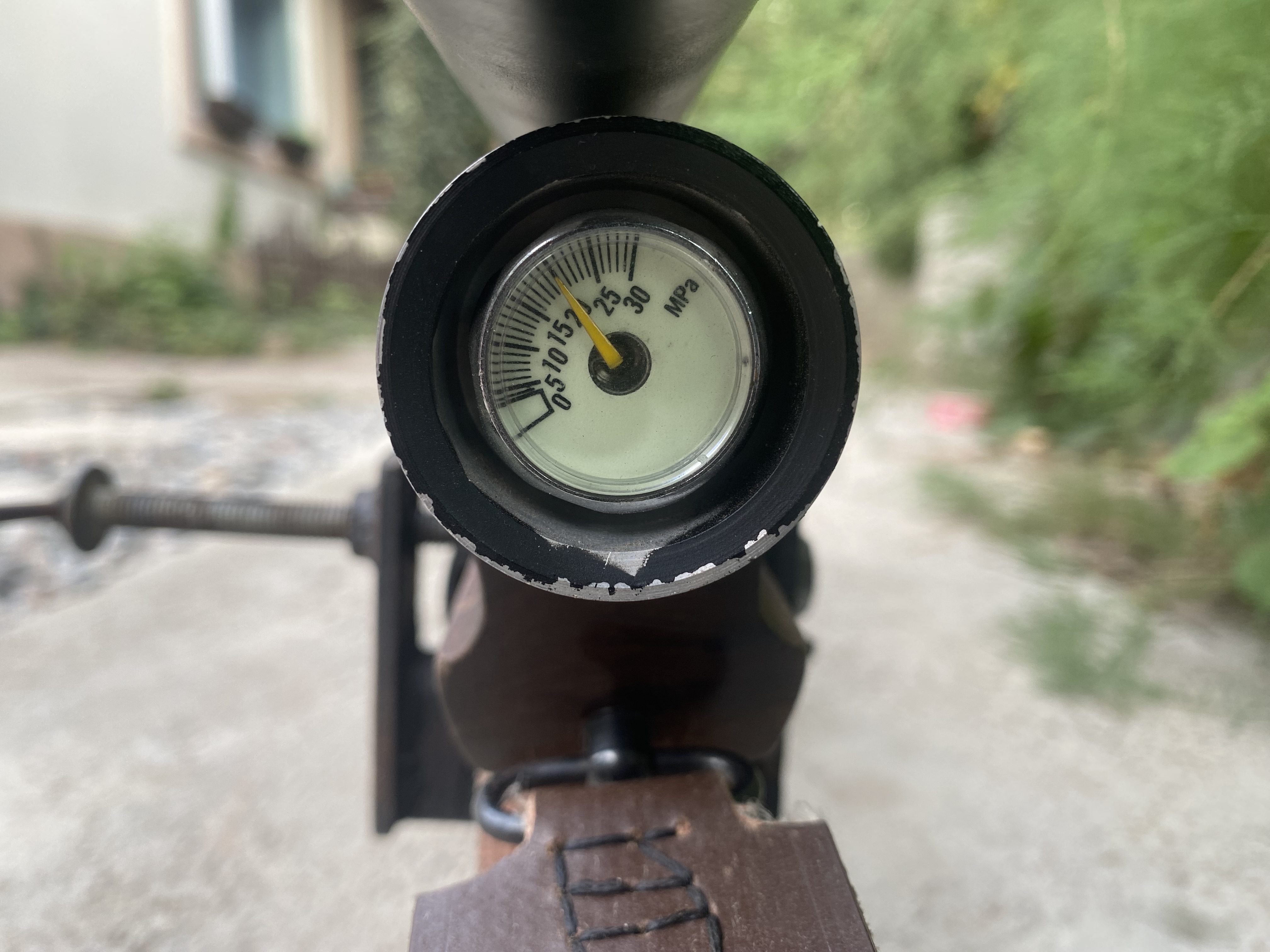 IMG_4172.jpeg