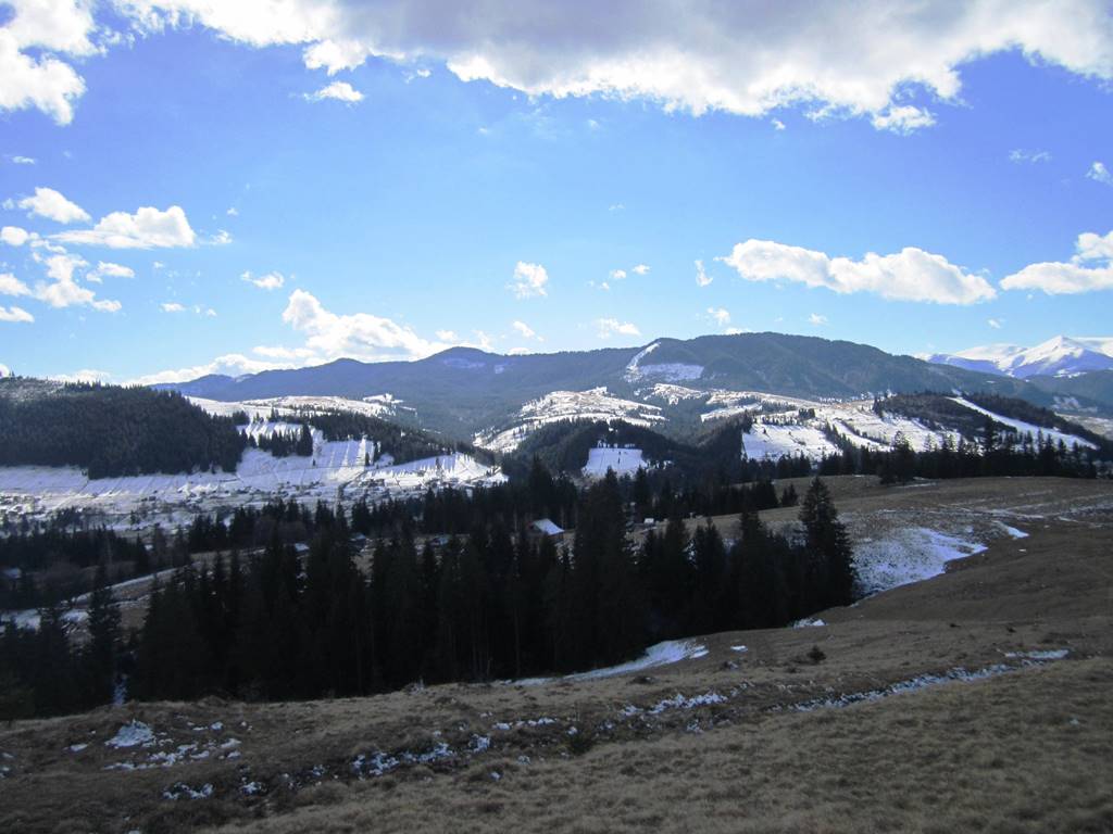 IMG_4294.JPG