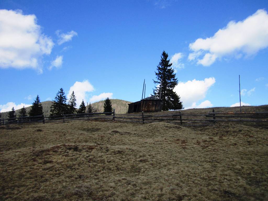 IMG_4298.JPG