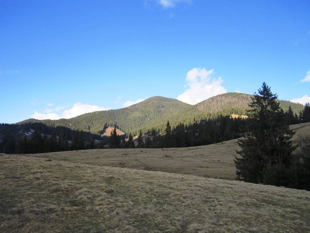 IMG_4307.JPG
