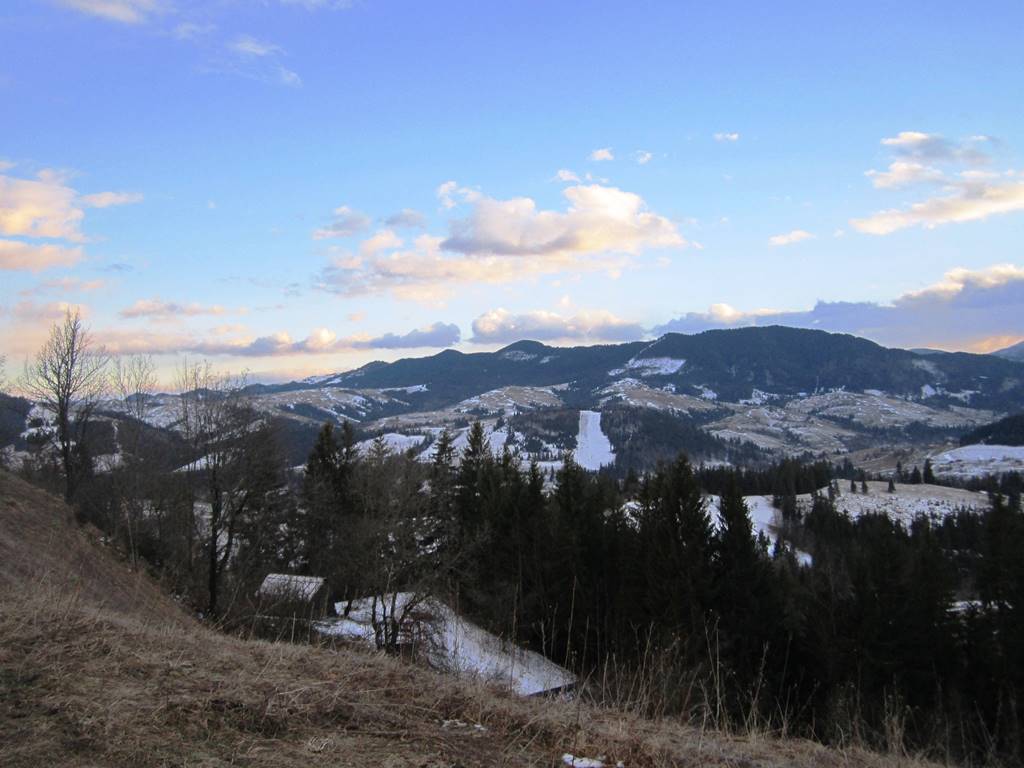 IMG_4316.JPG