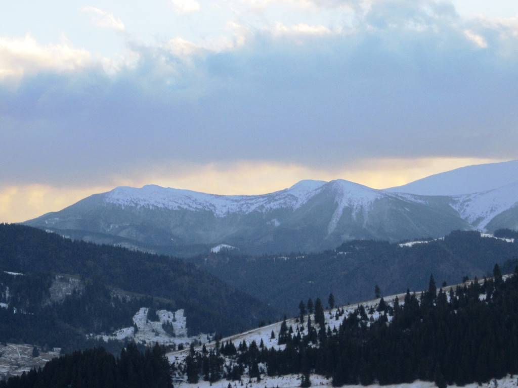 IMG_4319.JPG