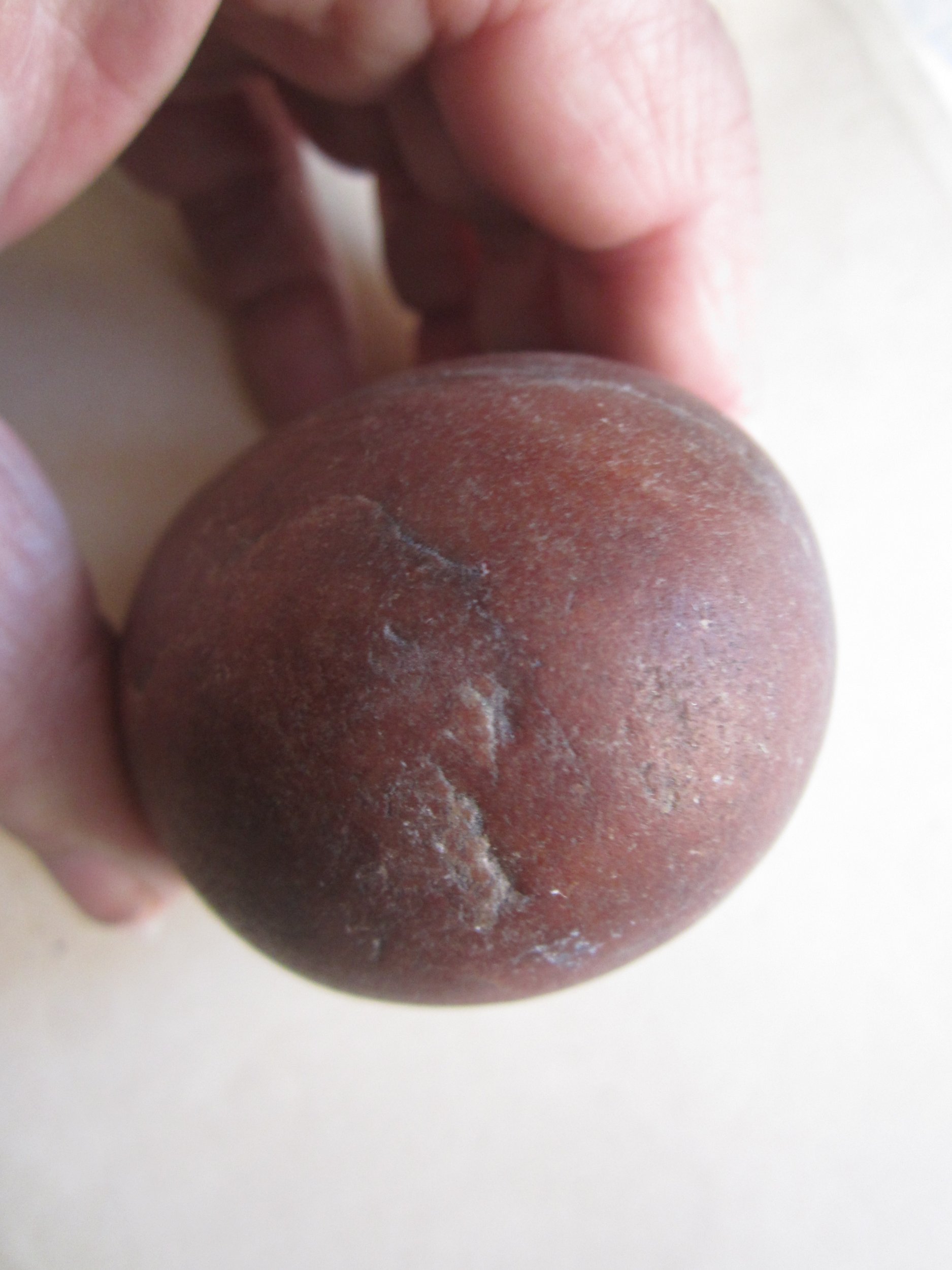 IMG_4396.JPG