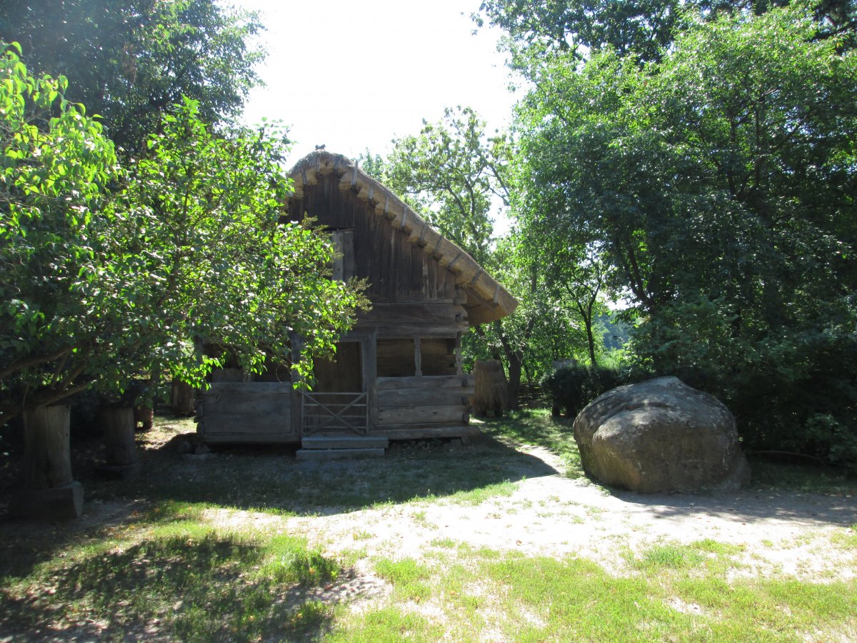 IMG_4422.JPG