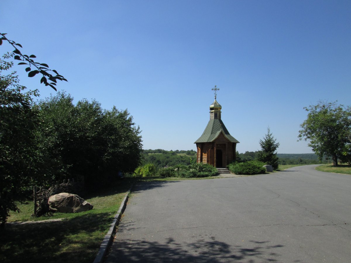 IMG_4442.JPG