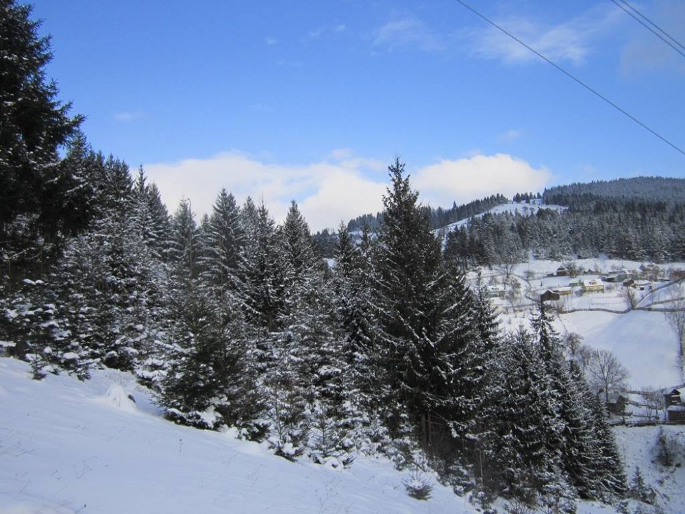 IMG_4602.JPG