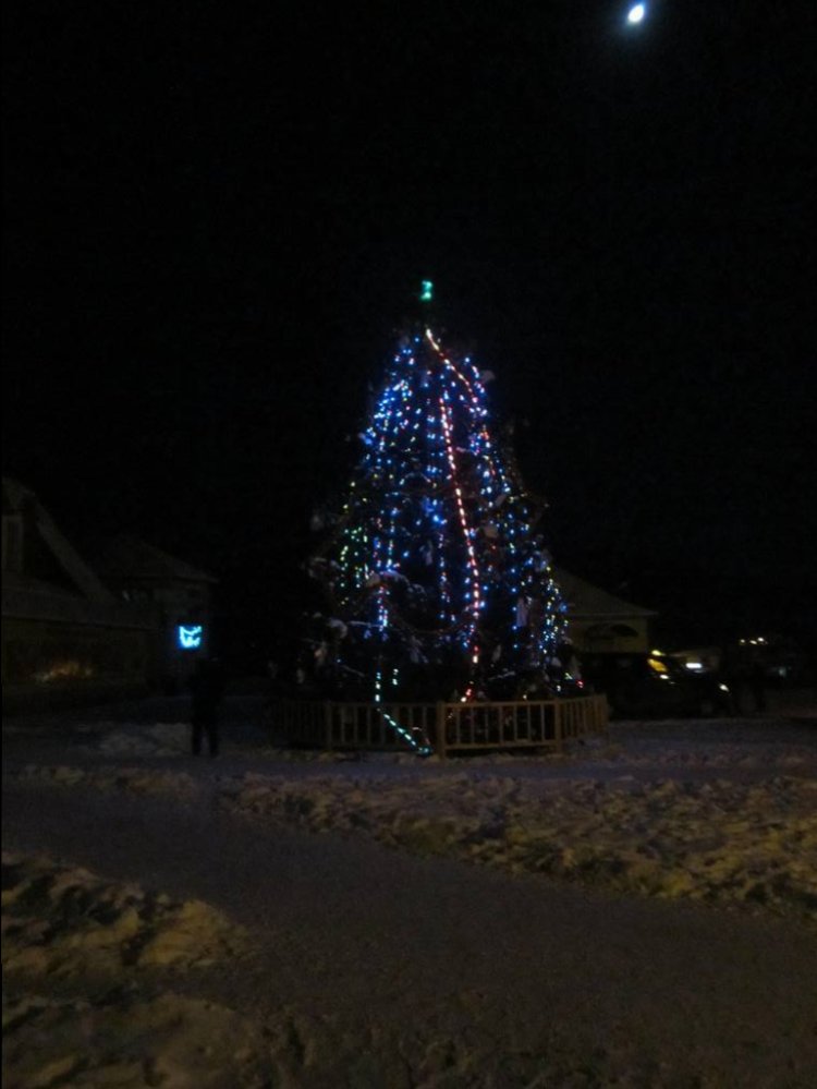 IMG_4643.JPG