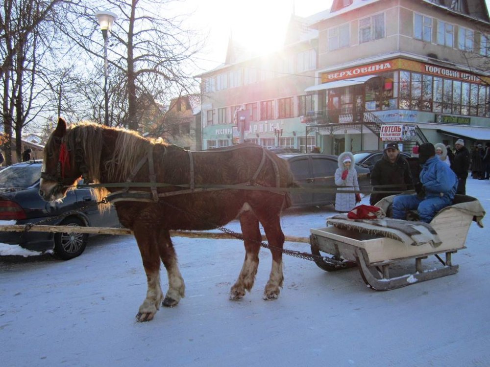IMG_4858.JPG