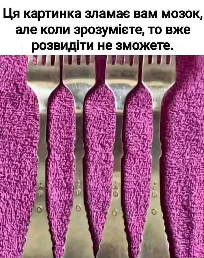 IMG_4887.jpeg