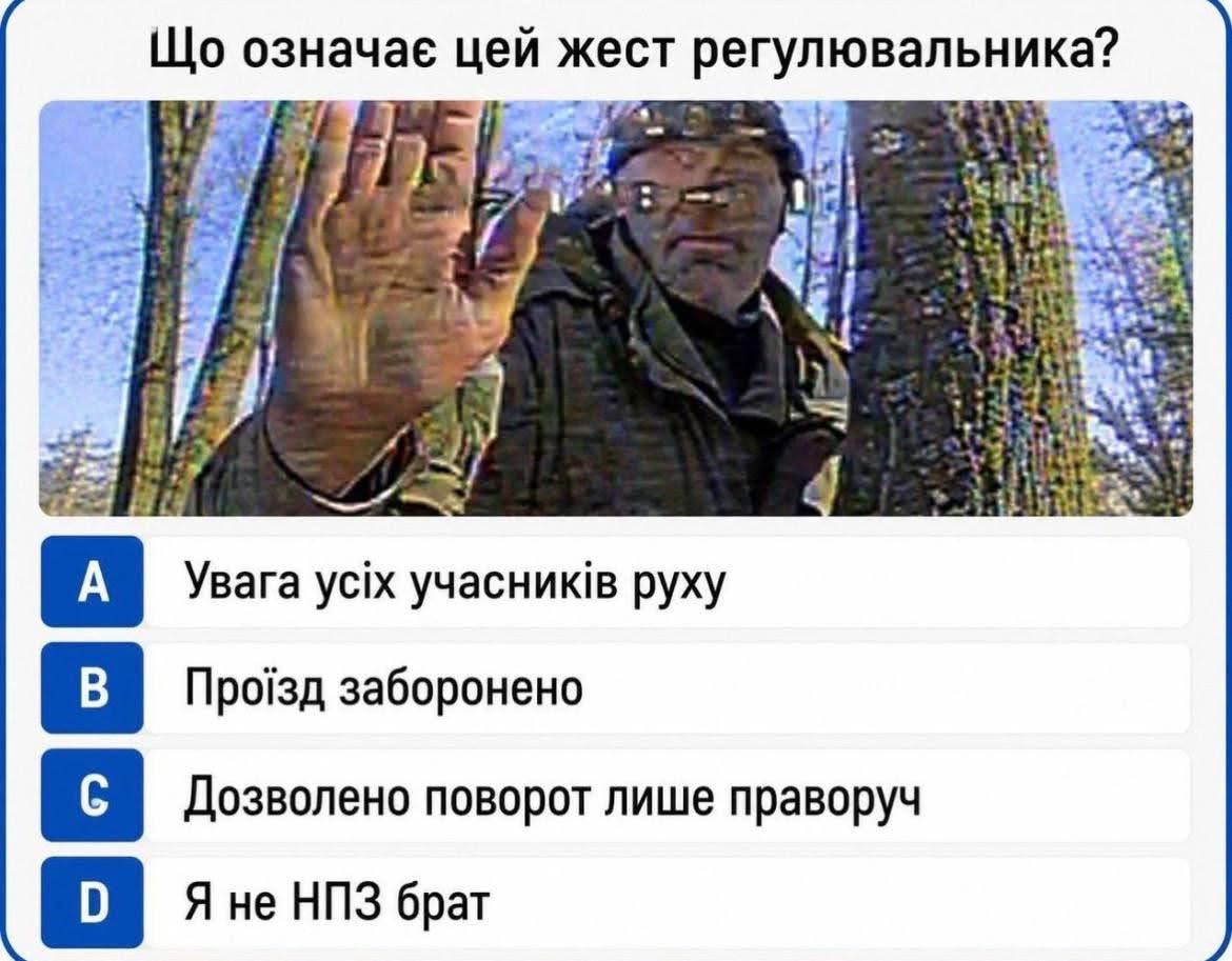 IMG_4940.jpeg