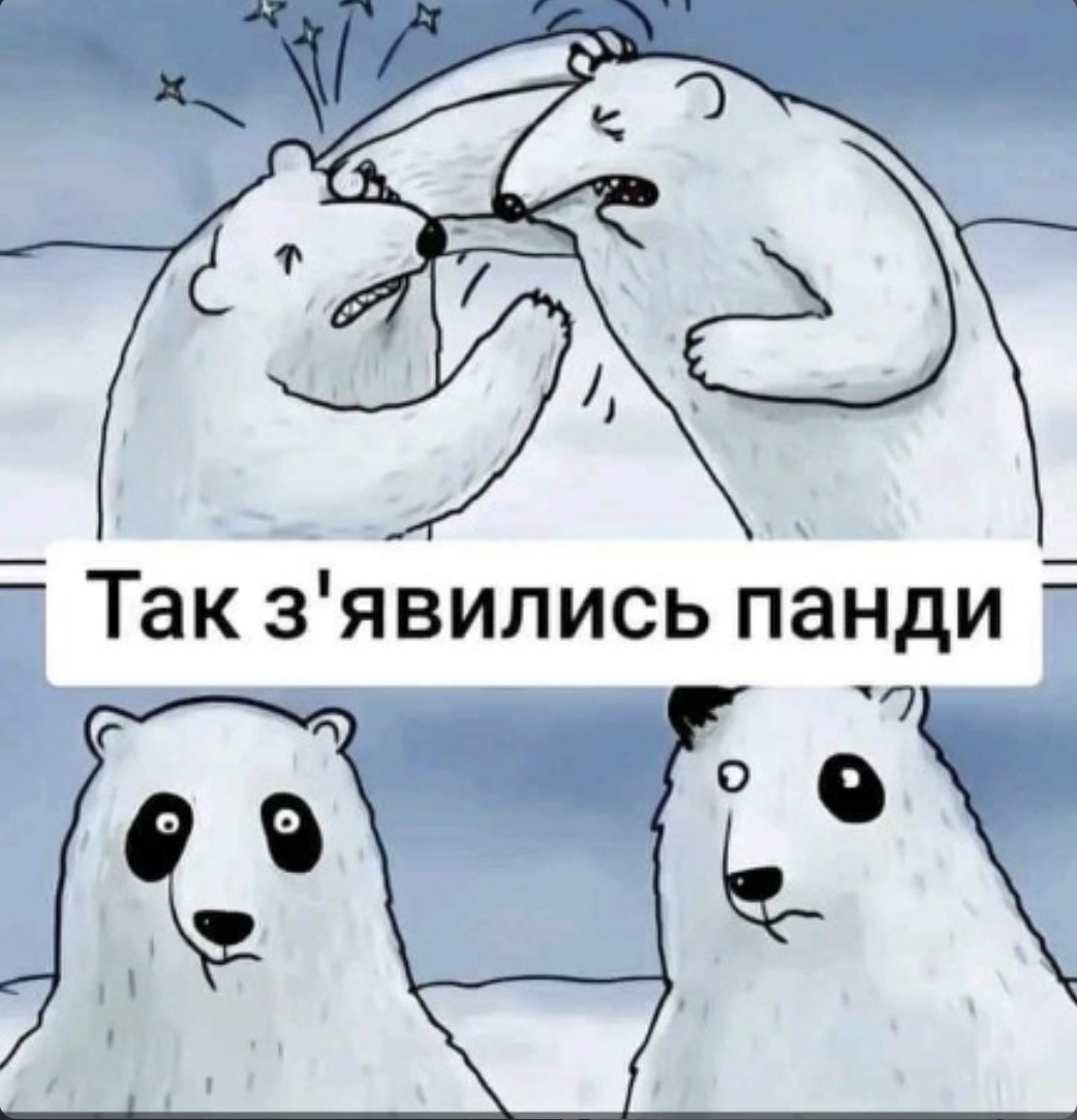 IMG_4945.jpeg