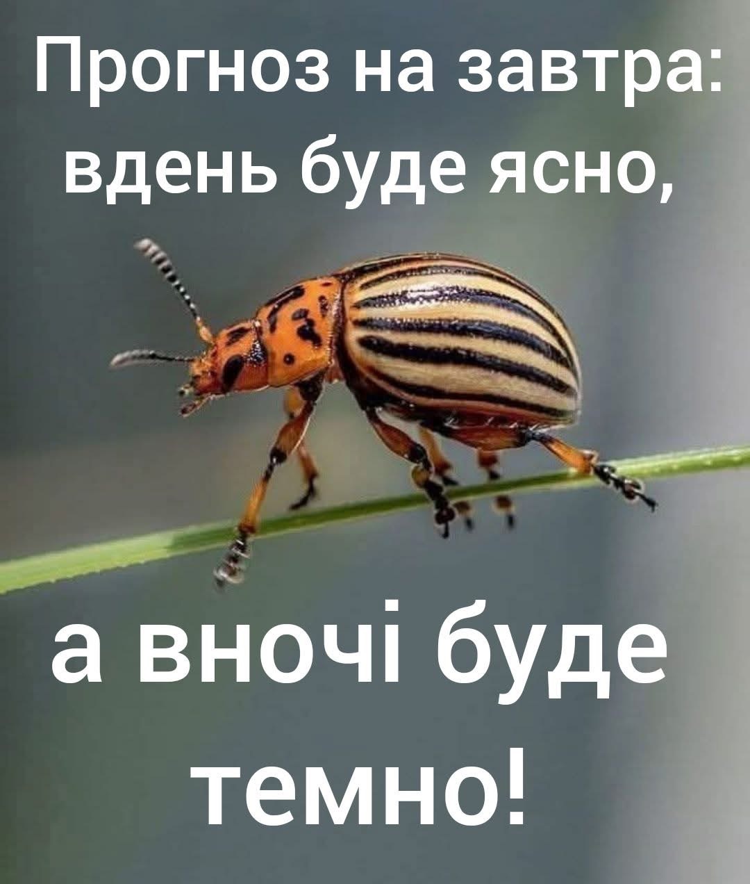 IMG_4957.jpeg