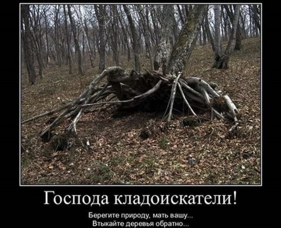IMG_4965.jpeg