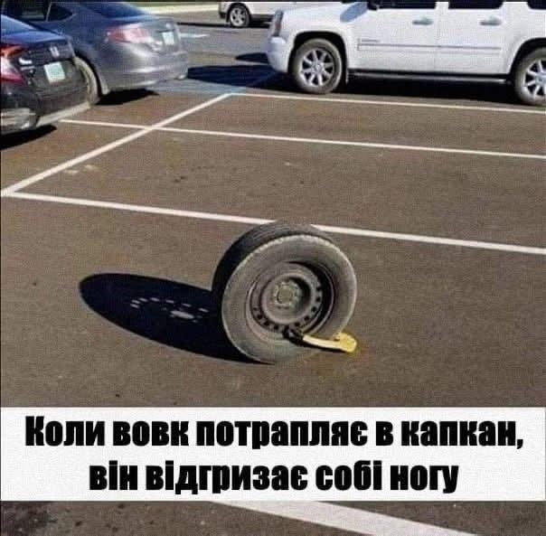 IMG_4976.jpeg