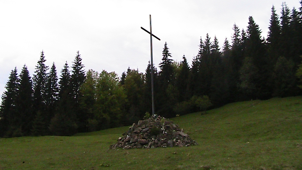 IMG_5110.JPG