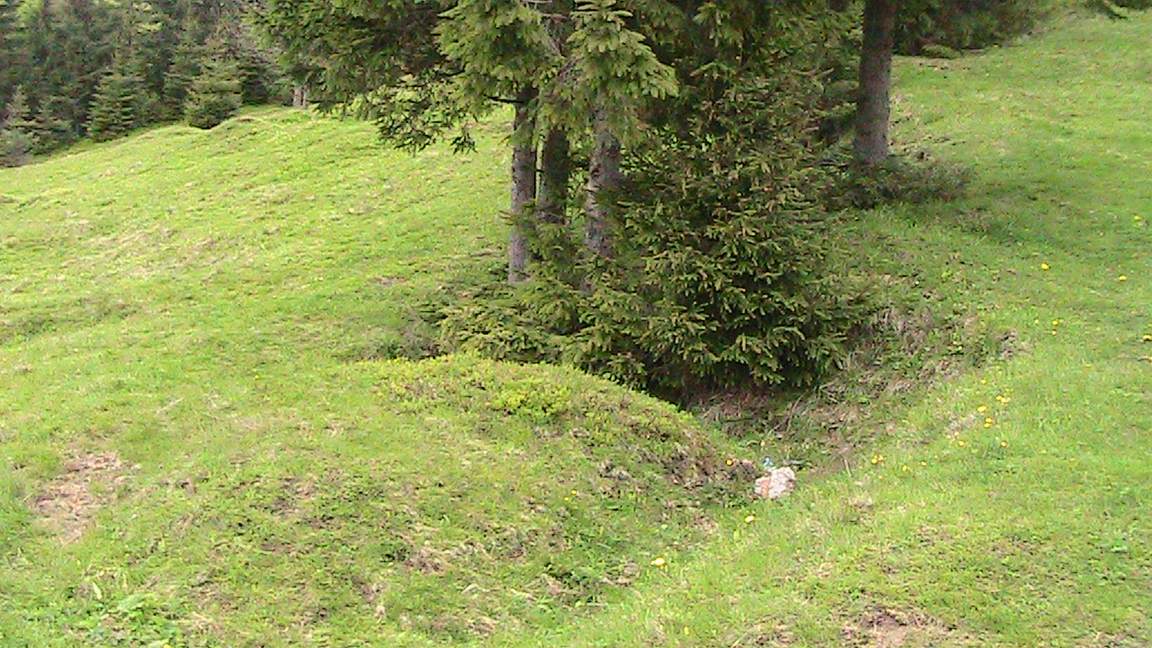 IMG_5116.JPG