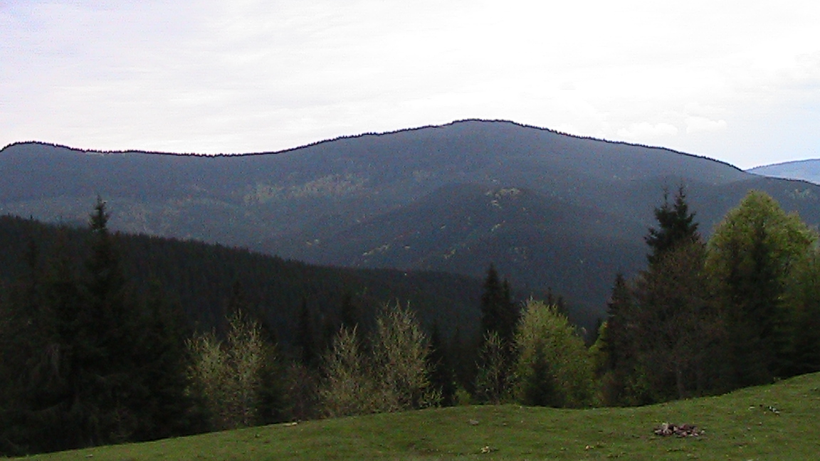 IMG_5118.JPG