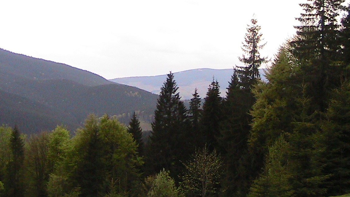 IMG_5133.JPG