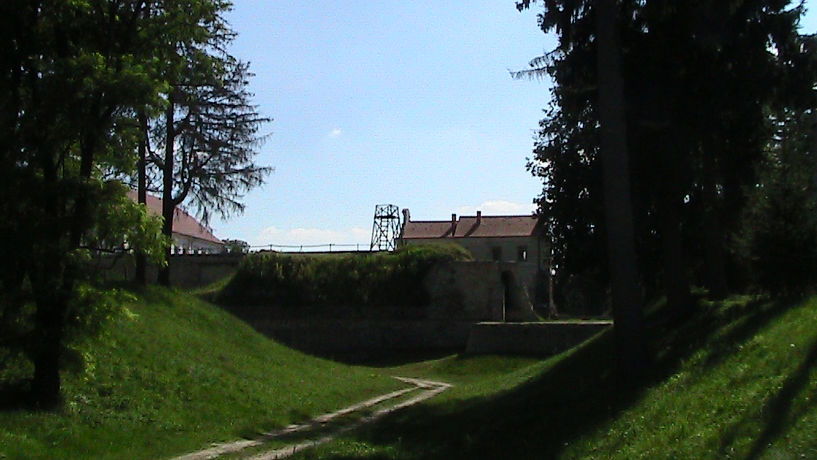 IMG_5420.JPG