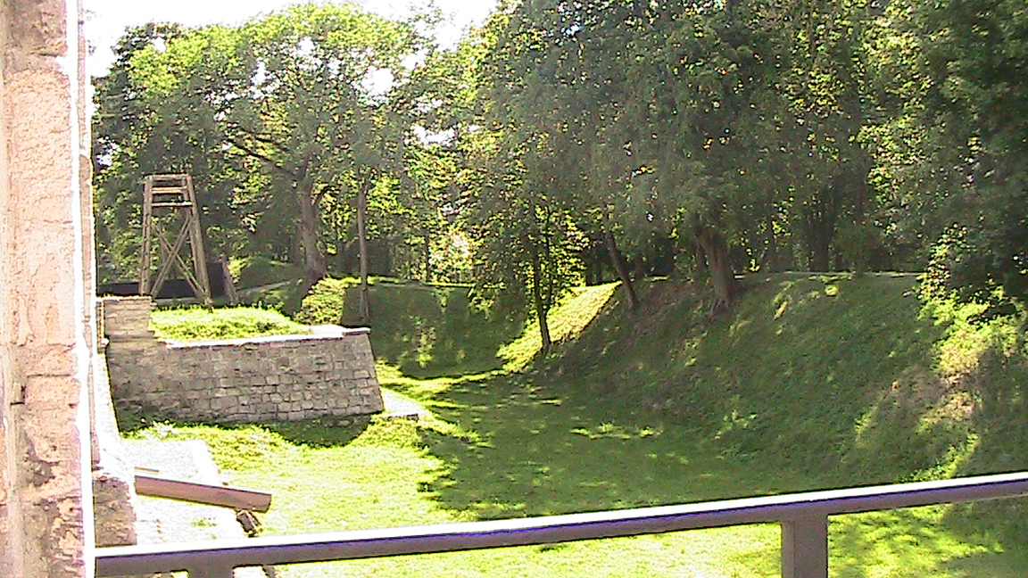 IMG_5423.JPG