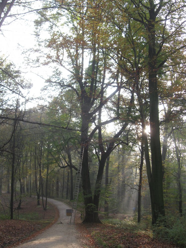 IMG_5495.JPG