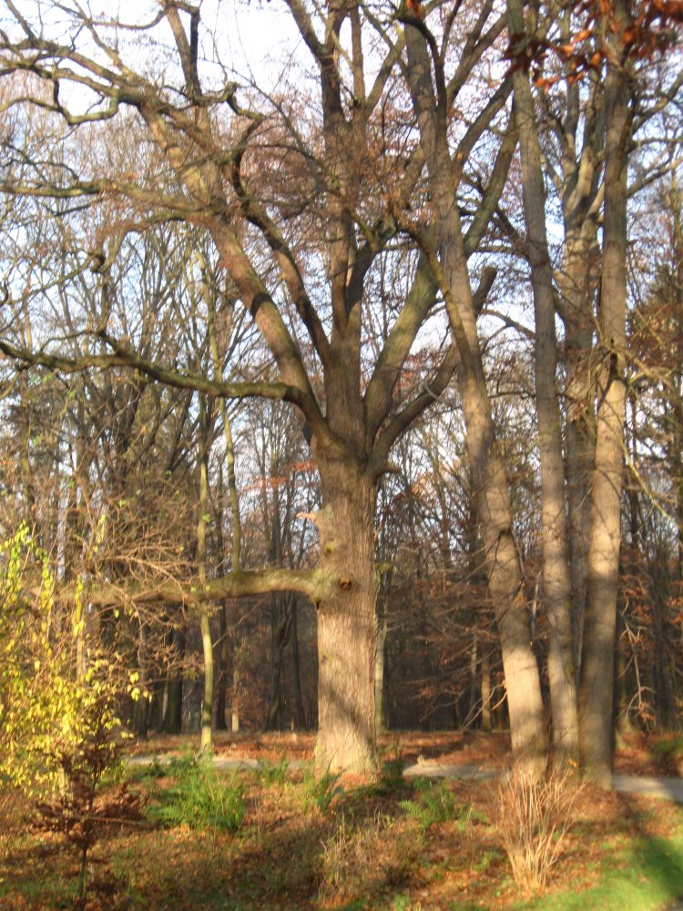 IMG_5506.JPG