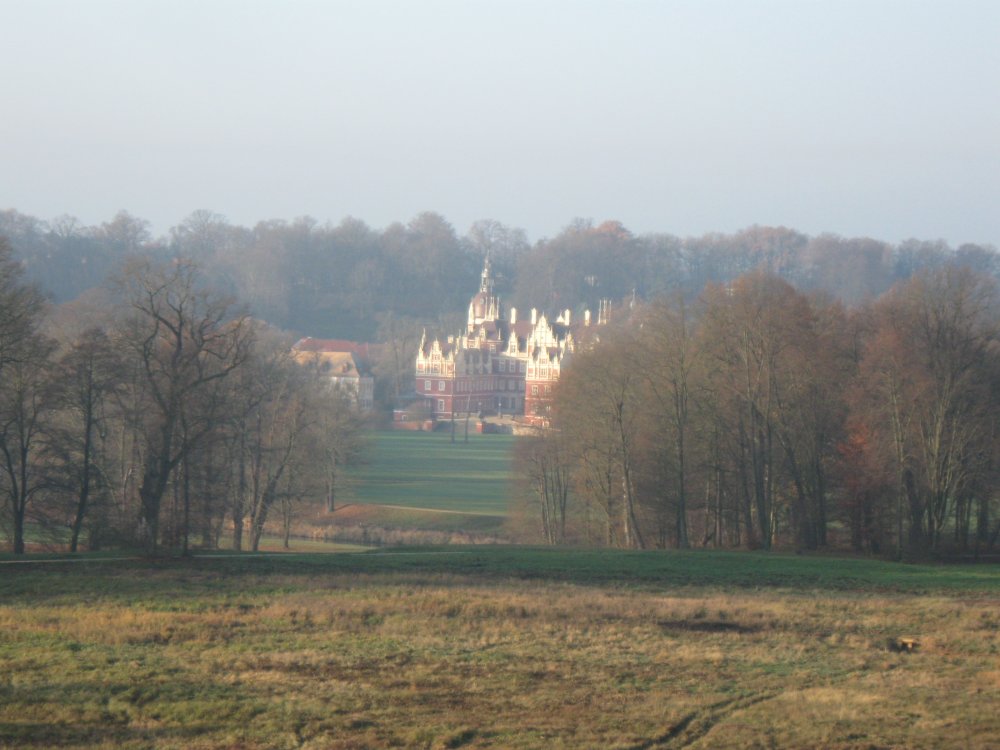 IMG_5513.JPG