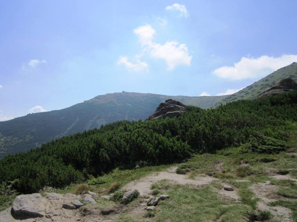 IMG_5903.JPG
