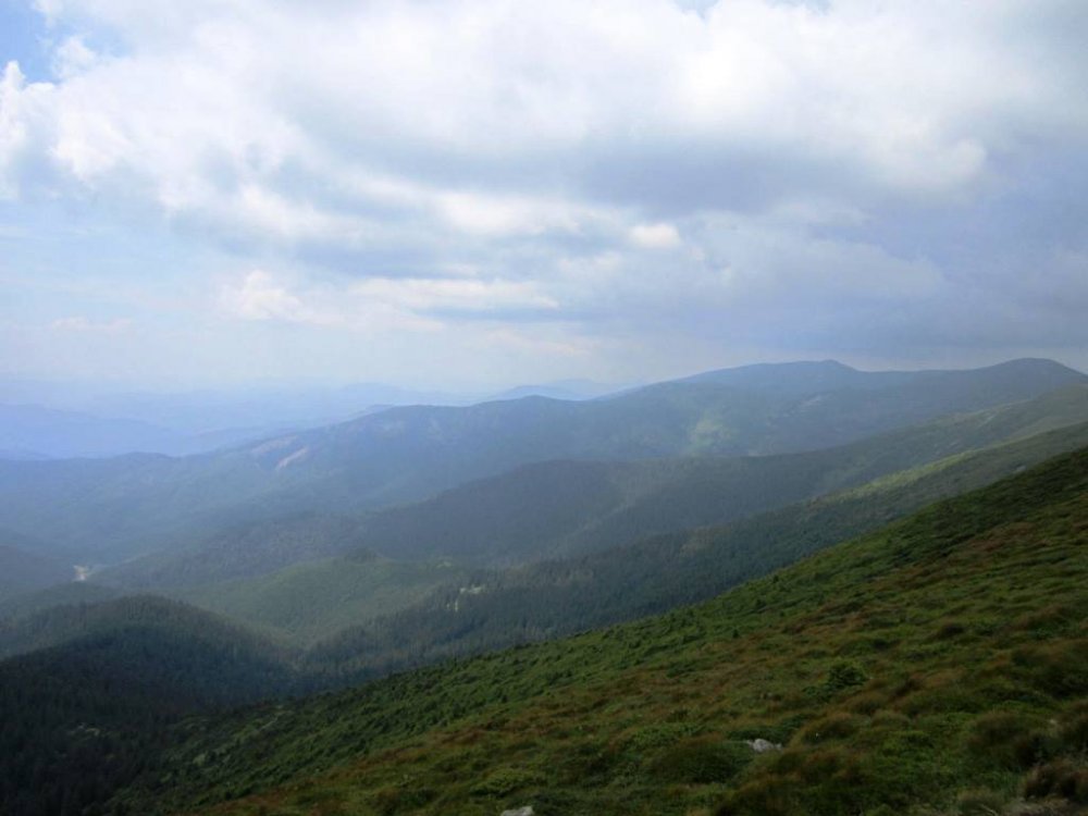 IMG_5920.JPG